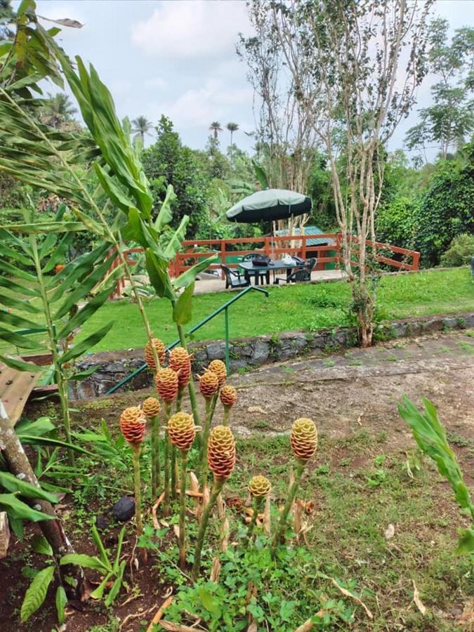 Guest House Quinta Natural Bangalots Graca Extérieur photo