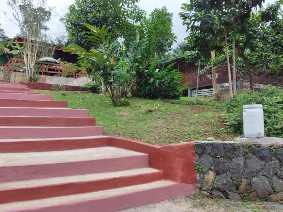 Guest House Quinta Natural Bangalots Graca Extérieur photo