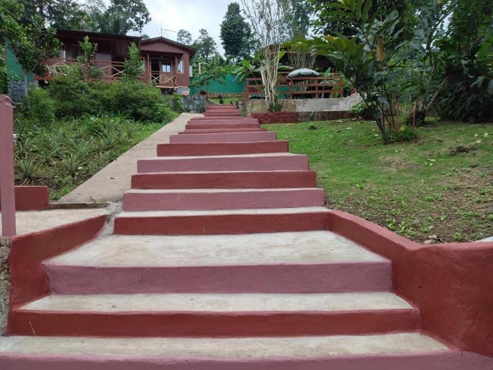 Guest House Quinta Natural Bangalots Graca Extérieur photo