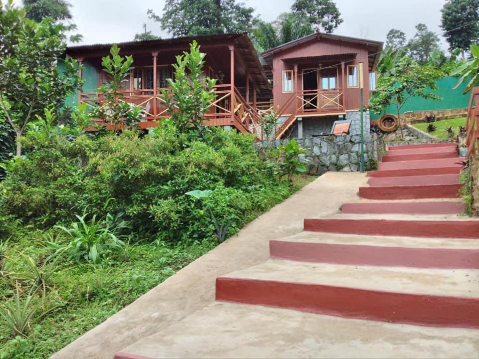 Guest House Quinta Natural Bangalots Graca Extérieur photo