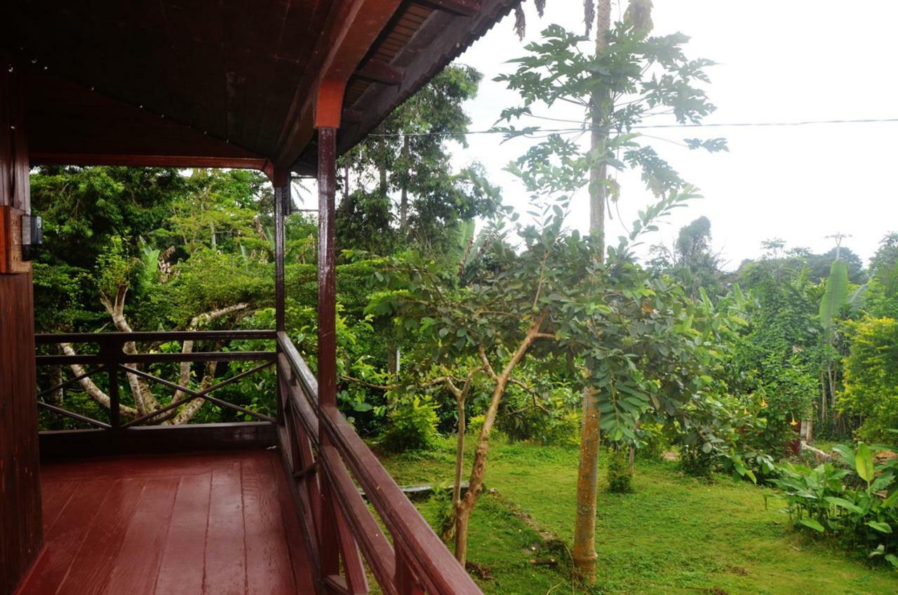 Guest House Quinta Natural Bangalots Graca Extérieur photo