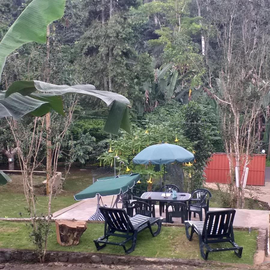 Guest House Quinta Natural Bangalots Graca Extérieur photo