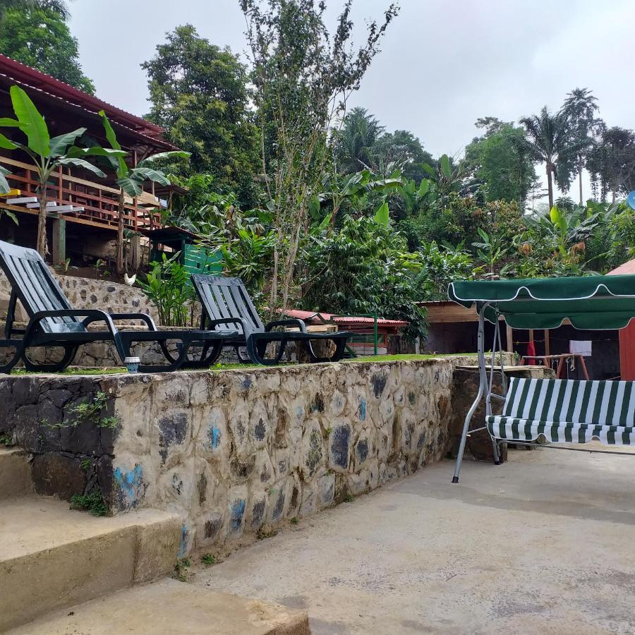 Guest House Quinta Natural Bangalots Graca Extérieur photo