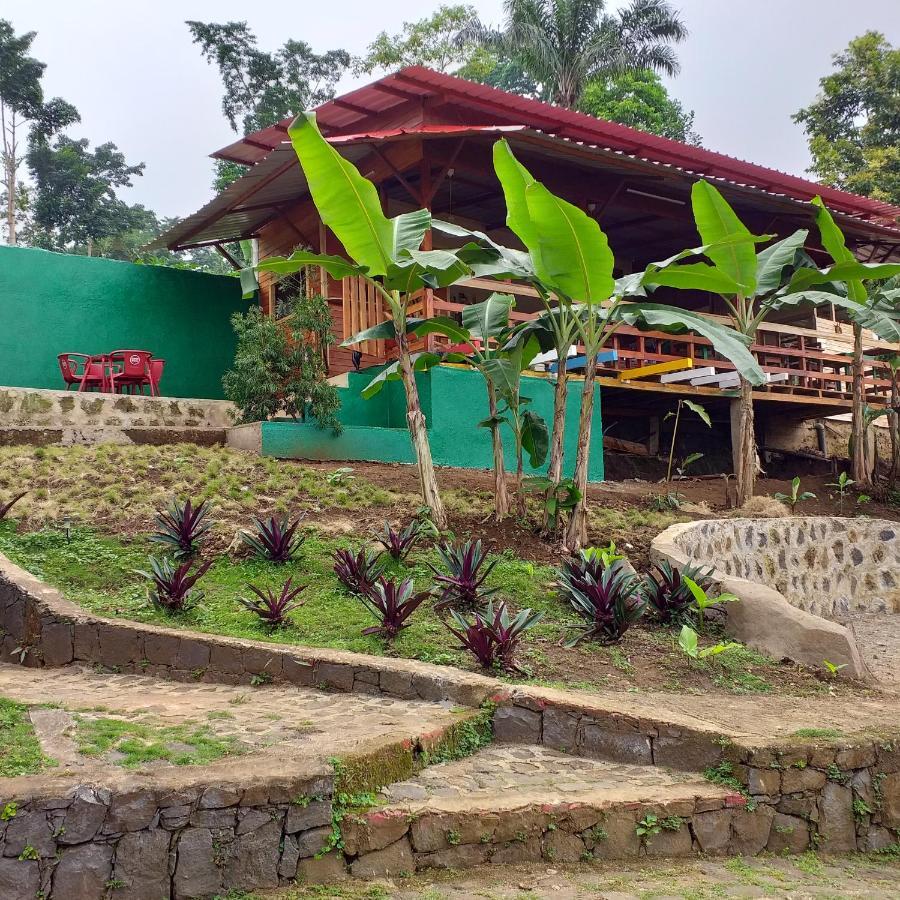 Guest House Quinta Natural Bangalots Graca Extérieur photo